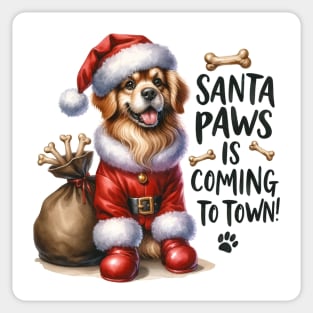 Christmas - Santa Paws is coming to town! Sticker